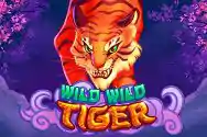TTG - Top Trend Gaming Slot
